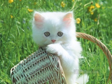 リアルな写真から Painting - かわいい子猫の芝生の絵を写真からアートに